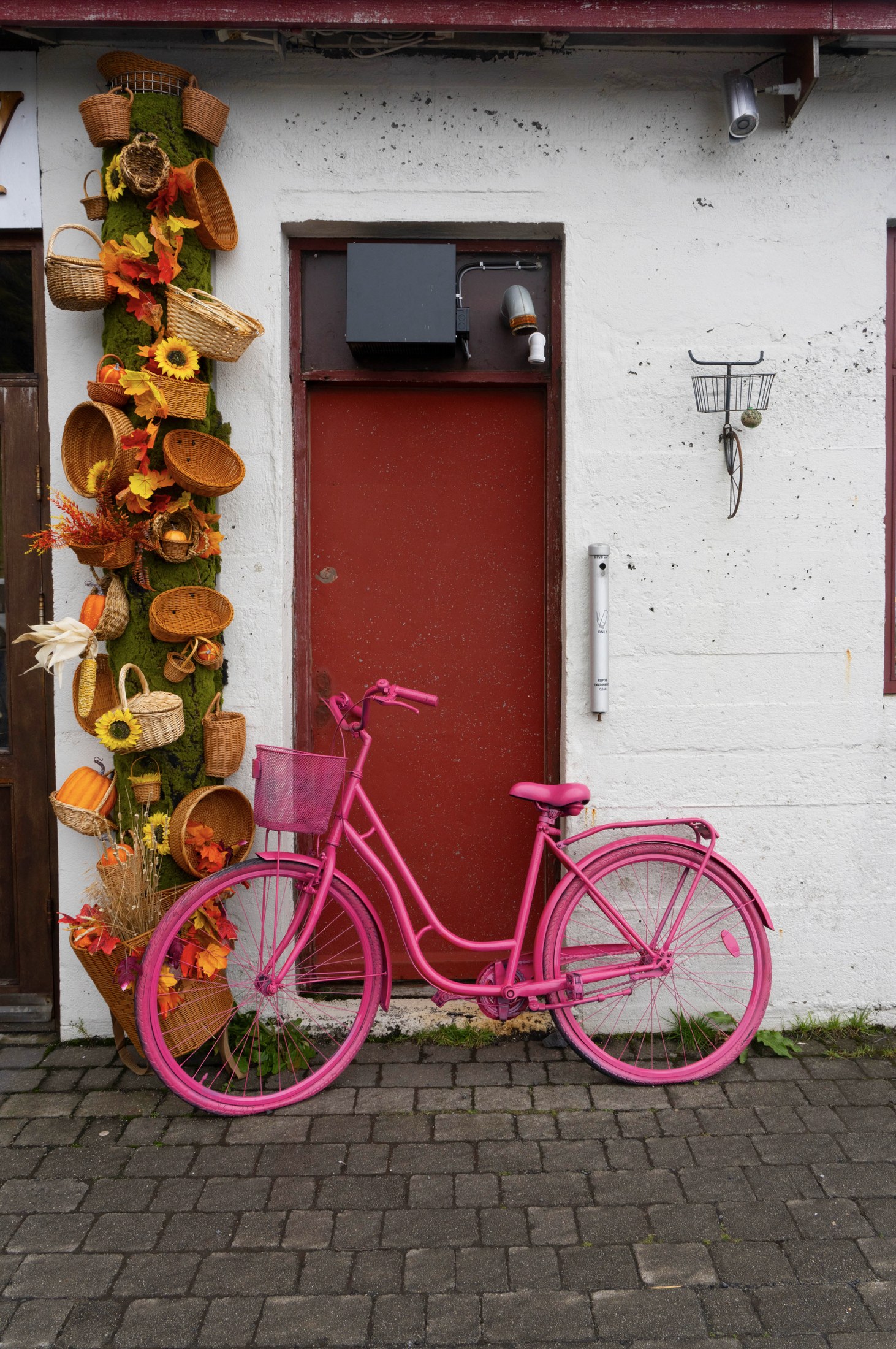 Pink Bike, Iceland