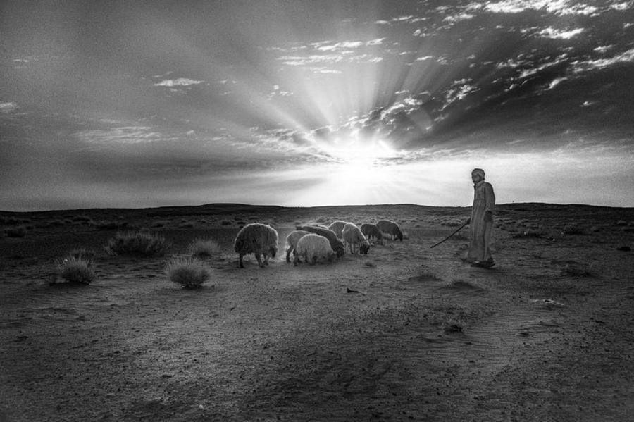 A Shepherd and His Flock, Jordan