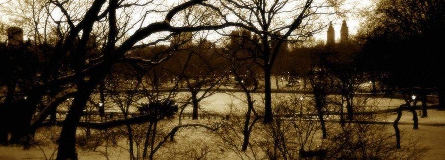Winter, Central Park
